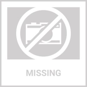 PetSafe Deluxe Ultralight Collar (REFURB)