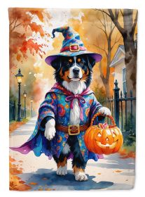 Bernese Mountain Dog Halloween Trick or Treat Garden Flag Mailbox Flag Decorative Yard Flag Banner Outside Patio Artwork Yard Flower Beds, Garden