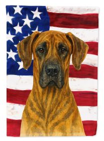 Brindle Great Dane American Flag House Flag Large Porch Sleeve Pole Decorative Outside Yard Banner Artwork Wall Hanging, Polyester, House Size