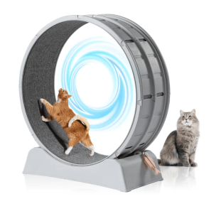Cat Exercise Wheel, 31 Inch Cat Wheels For Indoor Cats, Cat Treadmill Wheel Exerciser With Carpeted Runway (Color: Grey)